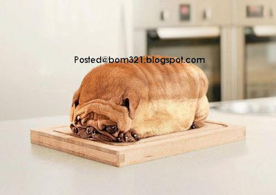 bread or dog