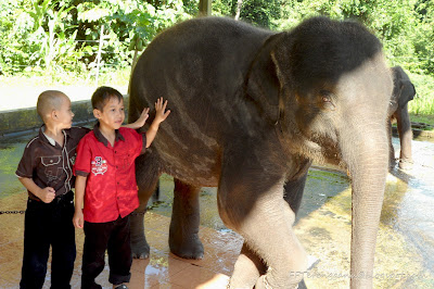 Seri si anak gajah