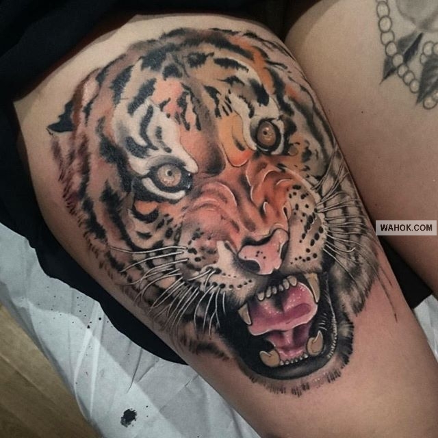 11 Terpopuler Gambar  Tato  Harimau Di Dada Gambar  Tato 