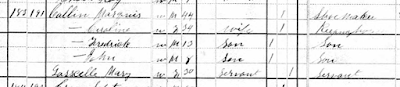 1880 Census - Wauseon, Fulton County, Ohio