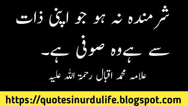 Aqwal e Zareen