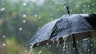 IMD Issues Alerts for Heavy Rainfall and Heatwave in Northeastern States, Tripura Schools Suspended