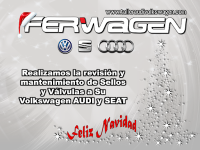  Servicios Mantenimiento AUDI VW SEAT