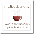 sweetshotbutton