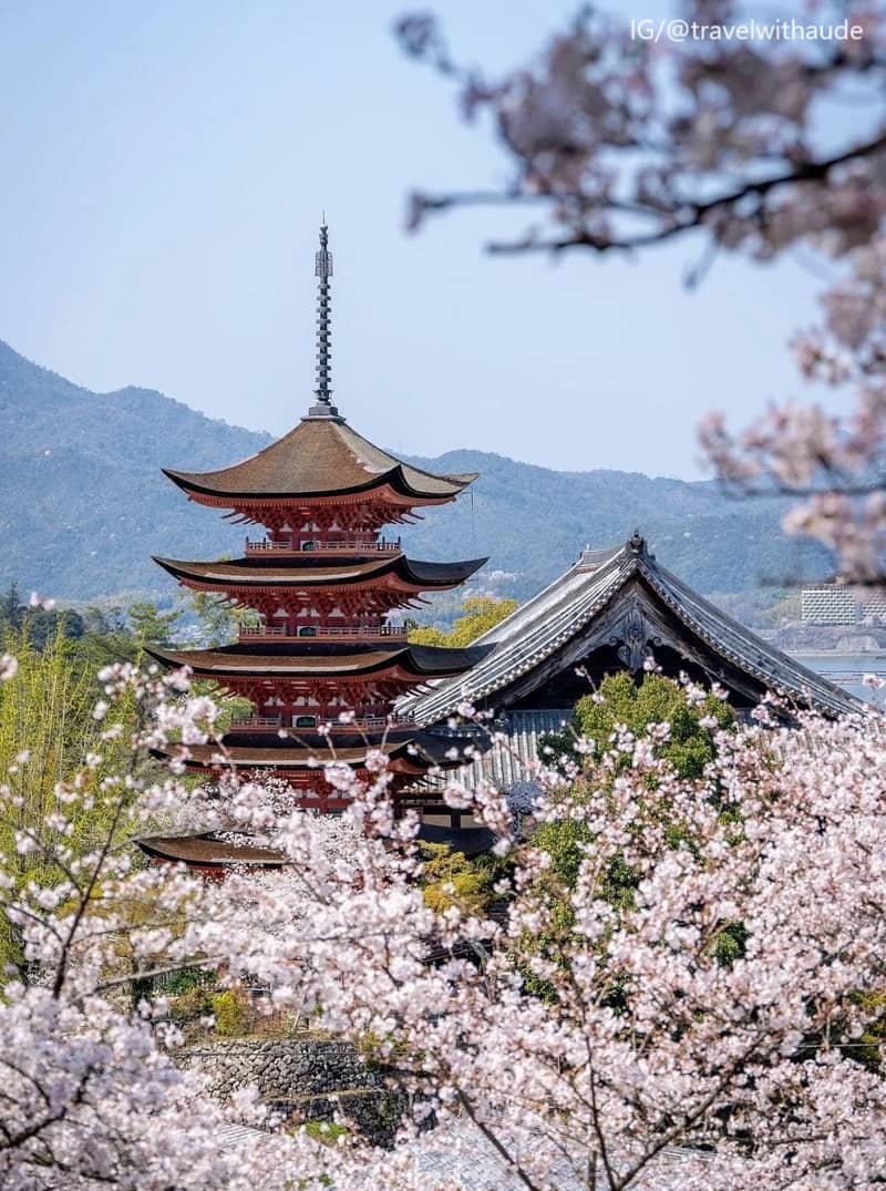How to pay for Miyajima Visitor Tax