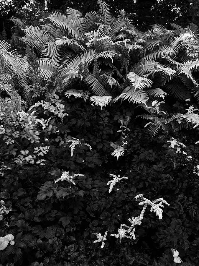 Planten un Blomen, Hamburg, 2024