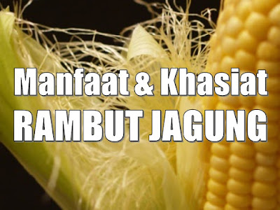 Hasil gambar untuk manfaat-rambut-jagung