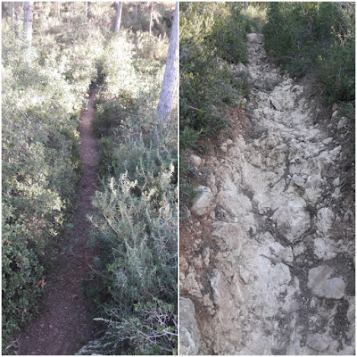 LA COGULLA - EL TOSSAL GROS Figuerola del Camp -(Alt Camp) -  Montblanc - (Conca de Barberà); camí que envolta el Cim de La Cogulla i corriol del Coll de Lilla a La Cogulla