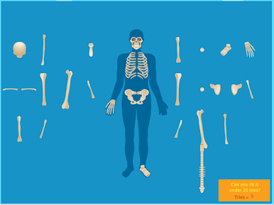 http://www.abcya.com/skeletal_system.htm