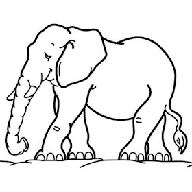 elephant coloring pages