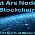 what are blockchain nodes?