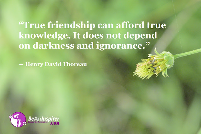 10 new quotes about friendship and its importance in life | quotes