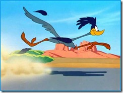 road-runner-1