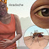  Yellow Fever Vaccine; its necessity and Risk