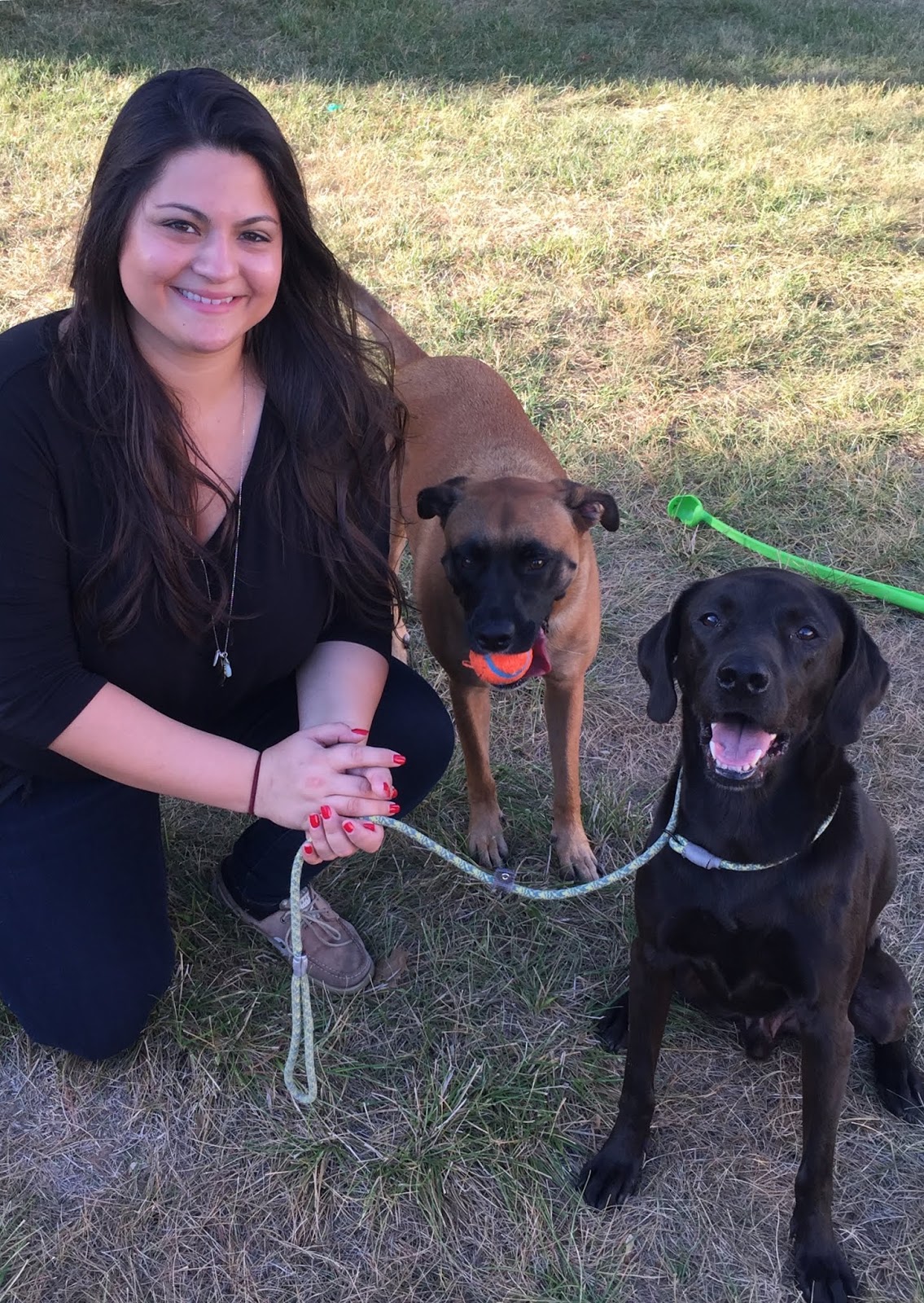 Dog Behavior & Rehabilitation With Brianna of Pack Leader Help LLC