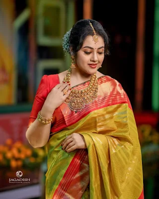 Actress Meena in a stunning traditional saree showcasing timeless elegance and grace