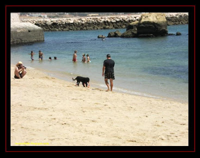 Cão de Água Português