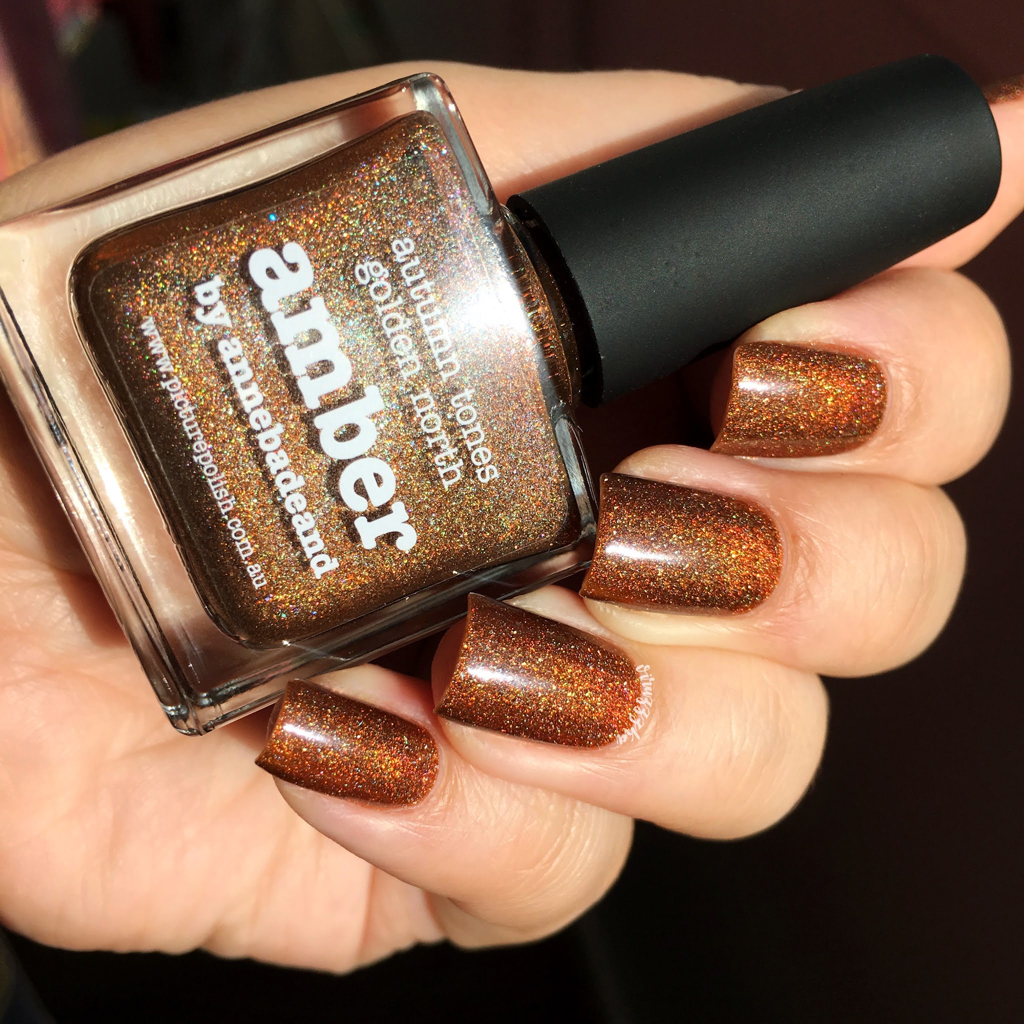 Picture Polish Amber Nail Swatch Autumn 2022 Brown Manicure Review