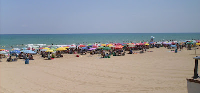 Sea of Umbrellas