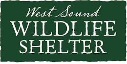 Non-Profits We Help