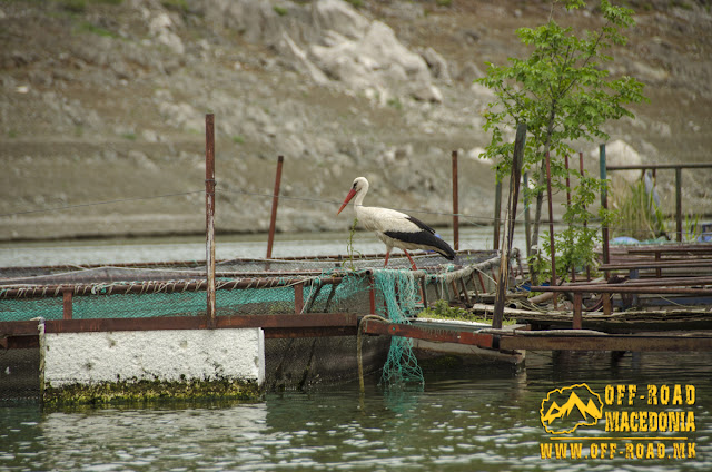 #Tikvesh lake, #Kavadarci Municipality, #Macedonia