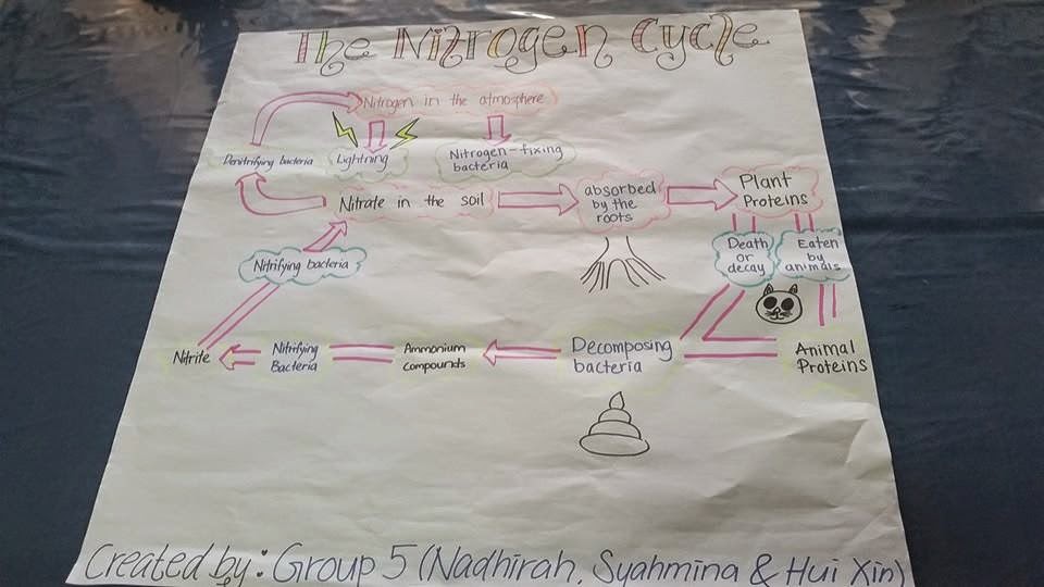 Idea P&P Sains : Kitar Nitrogen 2 ~ CiKGUHAiLMi