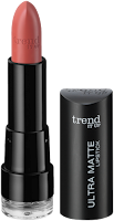 Preview: Die neue dm-Marke trend IT UP - Ultra Matte Lipstick 050 - www.annitschkasblog.de