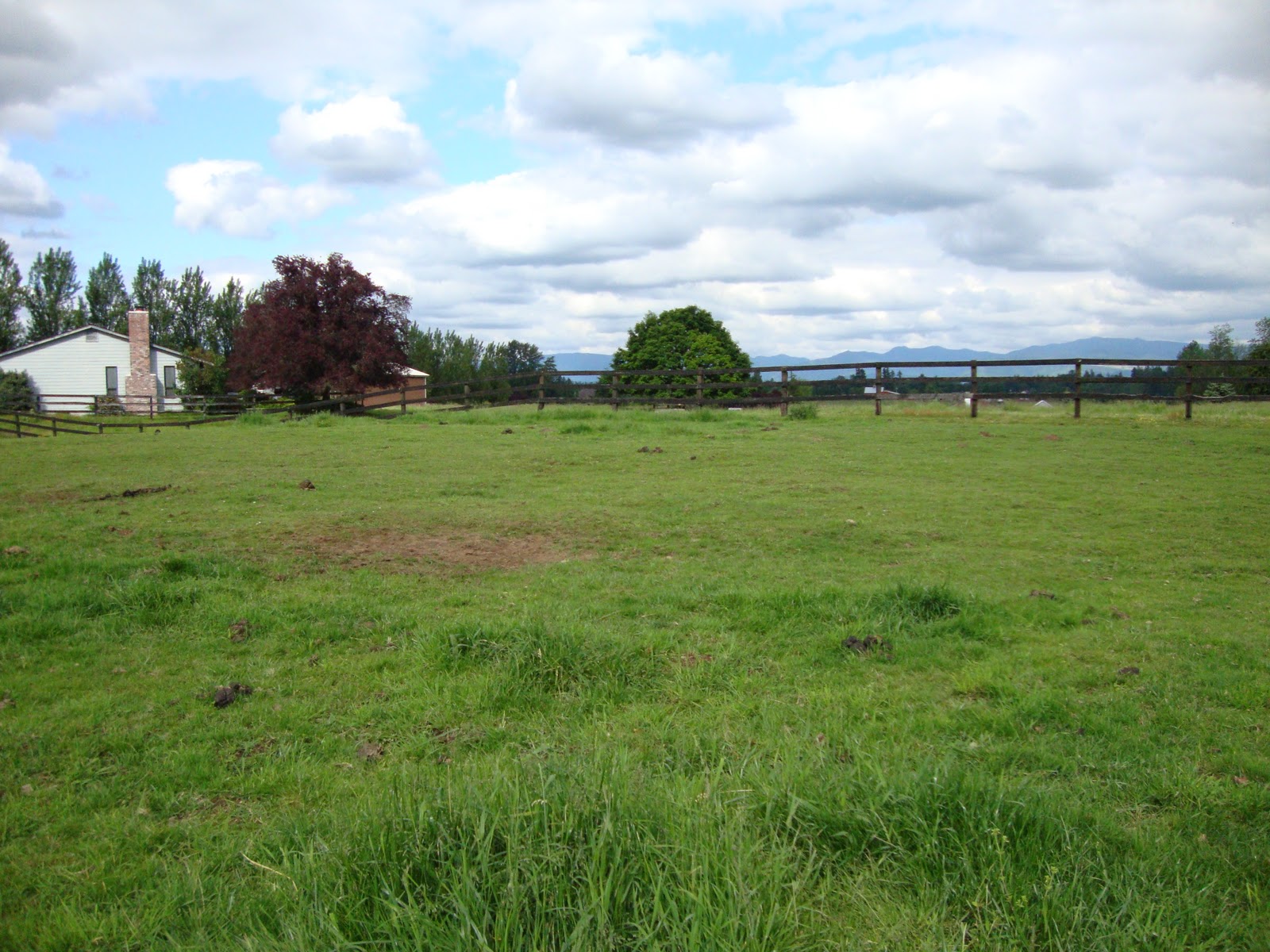 horse loafing shed