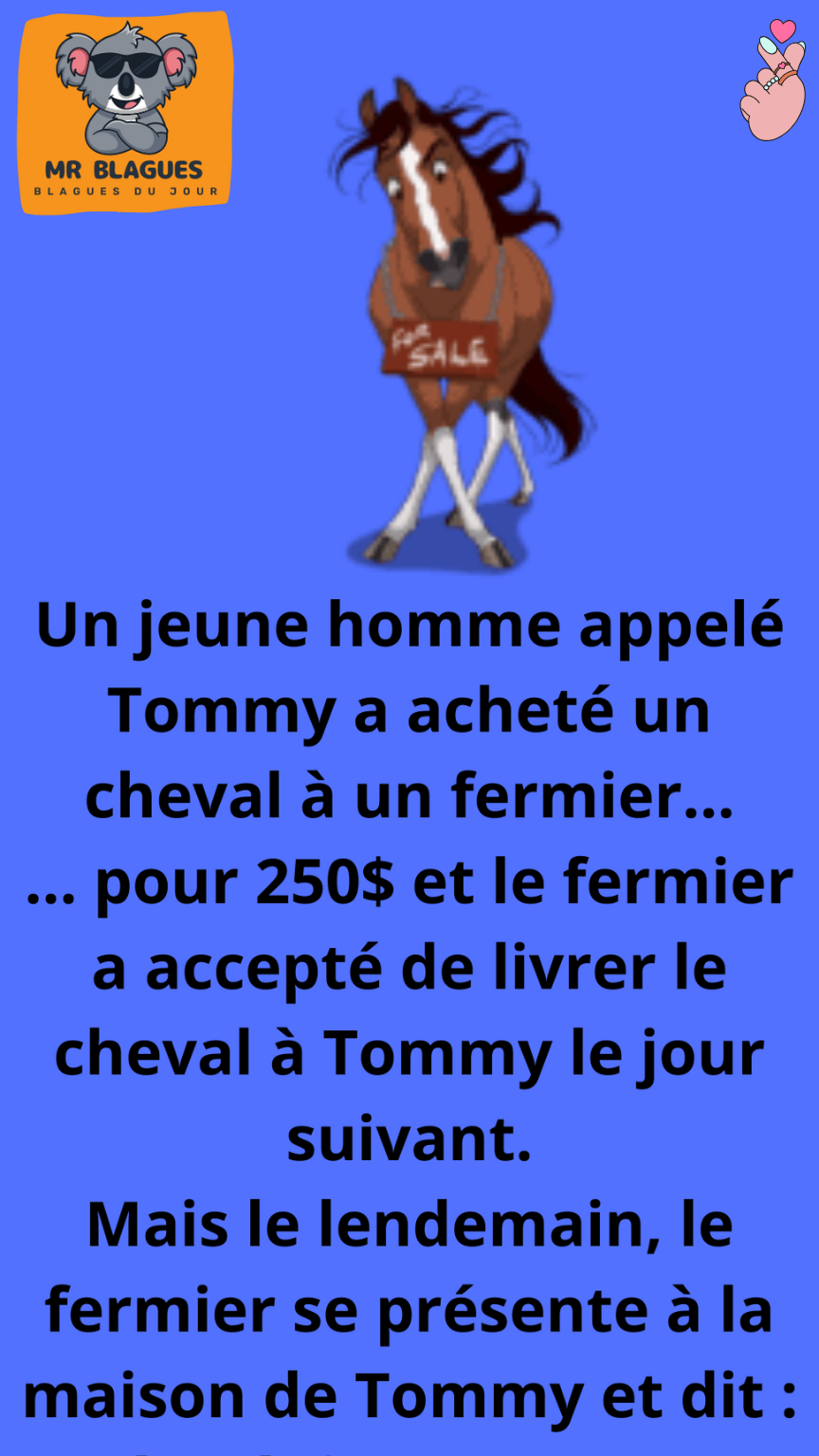 Un jeune homme appelé Tommy a acheté un cheval à un fermier.