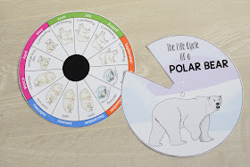 Polar Bear Annual Life Cycle Wheel