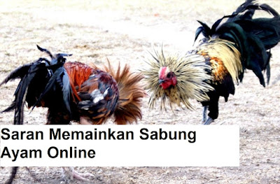 https://bandarbola350.blogspot.com/2019/07/tips-teknik-super-sukses-menang-dan.html