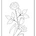 somma 13+ Simple Flower Coloring Pages PNG pastry