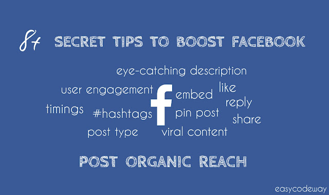 Tips to Improve Facebook Organic Reach