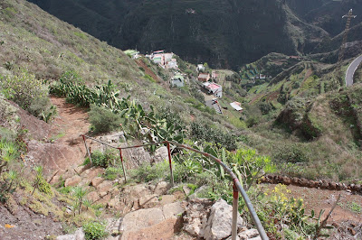 PR-TF-11 LA PUNTA DEL HIDALGO A LA CRUZ DEL CARMEN, camino de bajada a El Batán