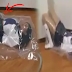 Disturbing Video of a Girl Who was Put inside a Plastic to be Suffocated by Using a Vacuum!