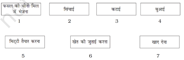 NCERT Solutions for Science Class 8