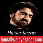 http://www.shiavideoshd.com/2015/07/haider-ka-hai-matam-noha-by-haider.html