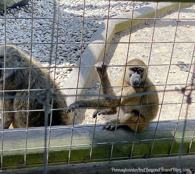 Lake Tobias Wildlife Park in Halifax, Pennsylvania 