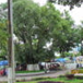 View album