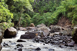 Rio Viejo, Puriscal, Costa Rica