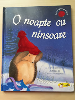 O noapte cu ninsoare