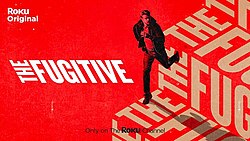 The_Fugitive_2020_TV_series_20_facts