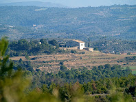 L'Oliva des de la carretera de Castellnou de Bages