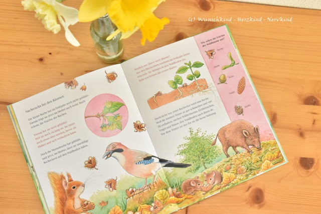 Montessori-inspirierte Oster- und Frühlingsbücher. Kinderbücher mit viel Sachwissen.