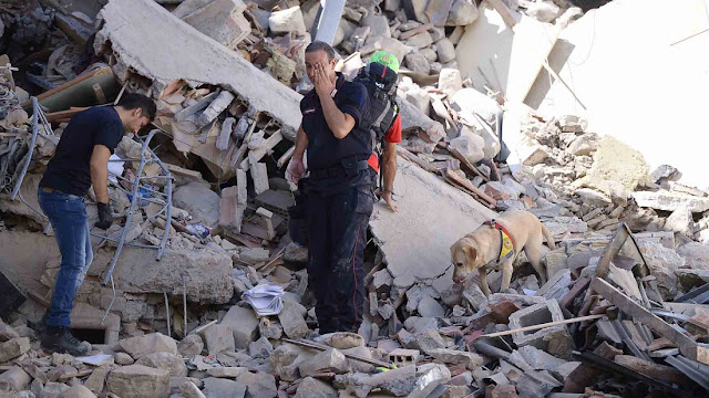 Fuerte sismo en el centro de Italia deja al menos 37 muertos.