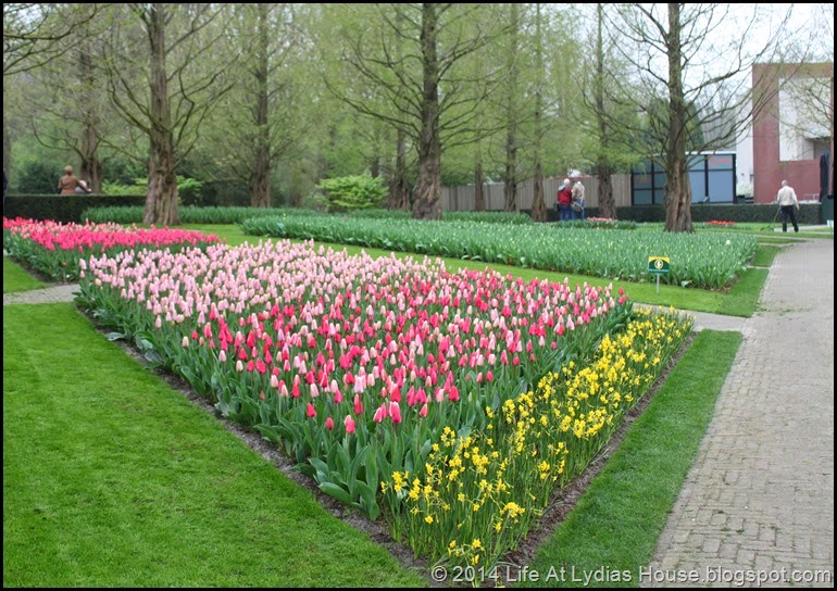Keukenhof Gardens 3