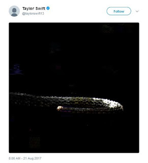 Taylor Swift, Taylor Swift snake video, Taylor Swift twitter