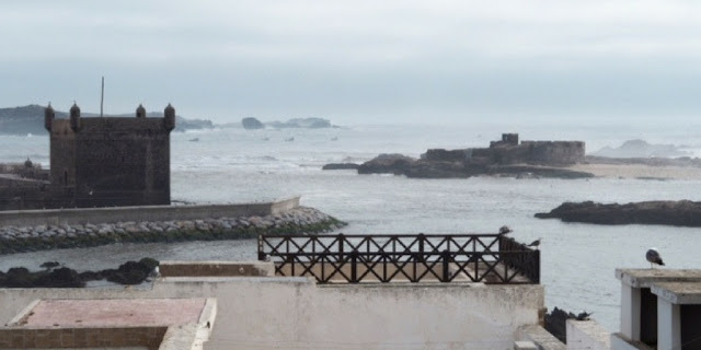 10 Things to do in Essaouira