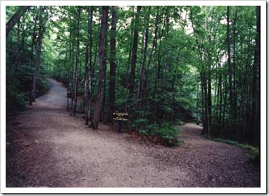 Fork in the Road