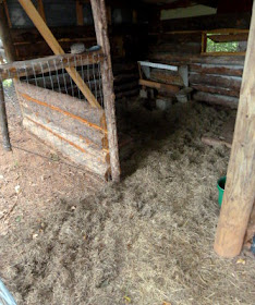 grass clippings in the billy barn